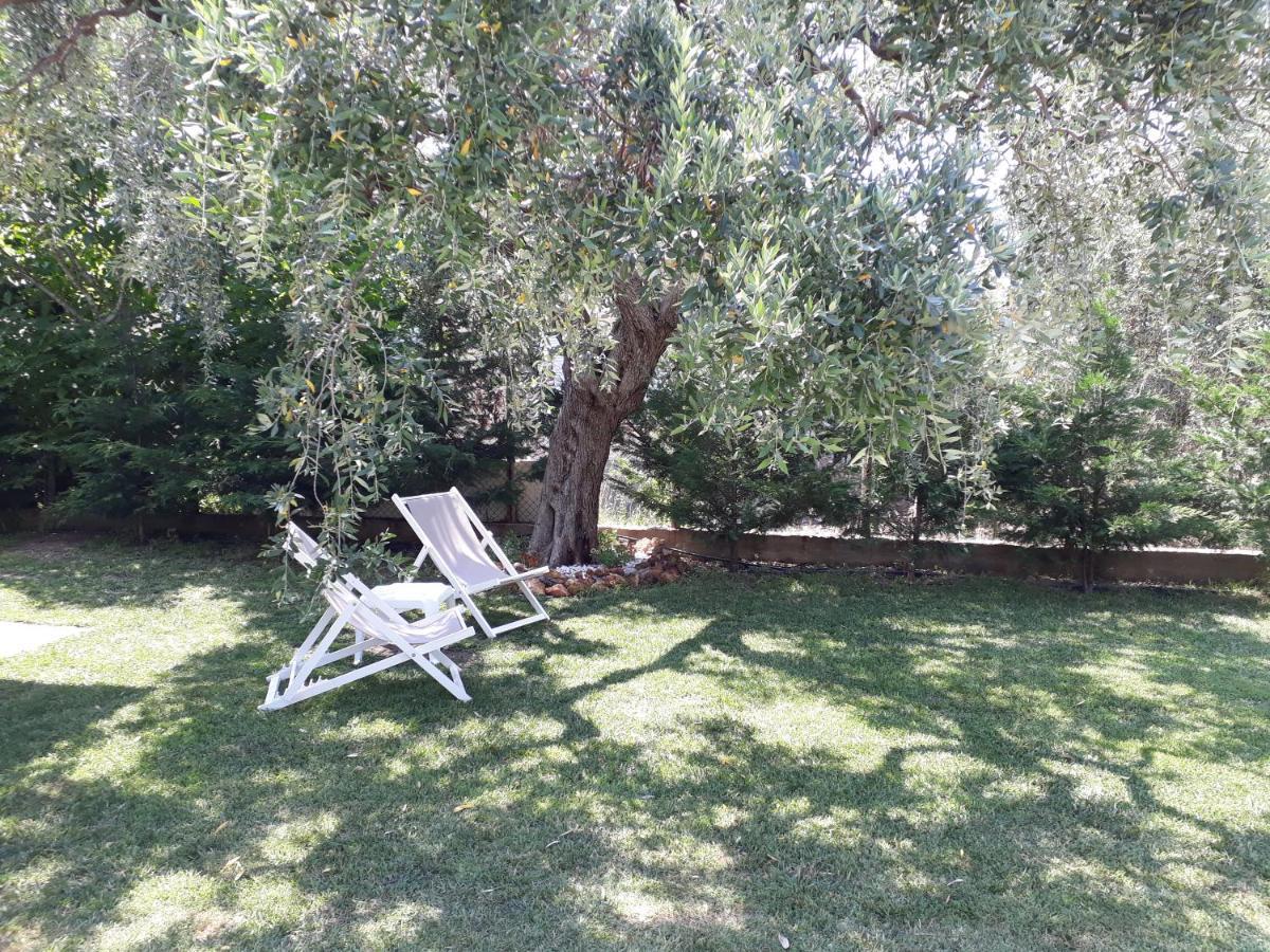 Villa Elia Σκάλα Σωτήρος Εξωτερικό φωτογραφία