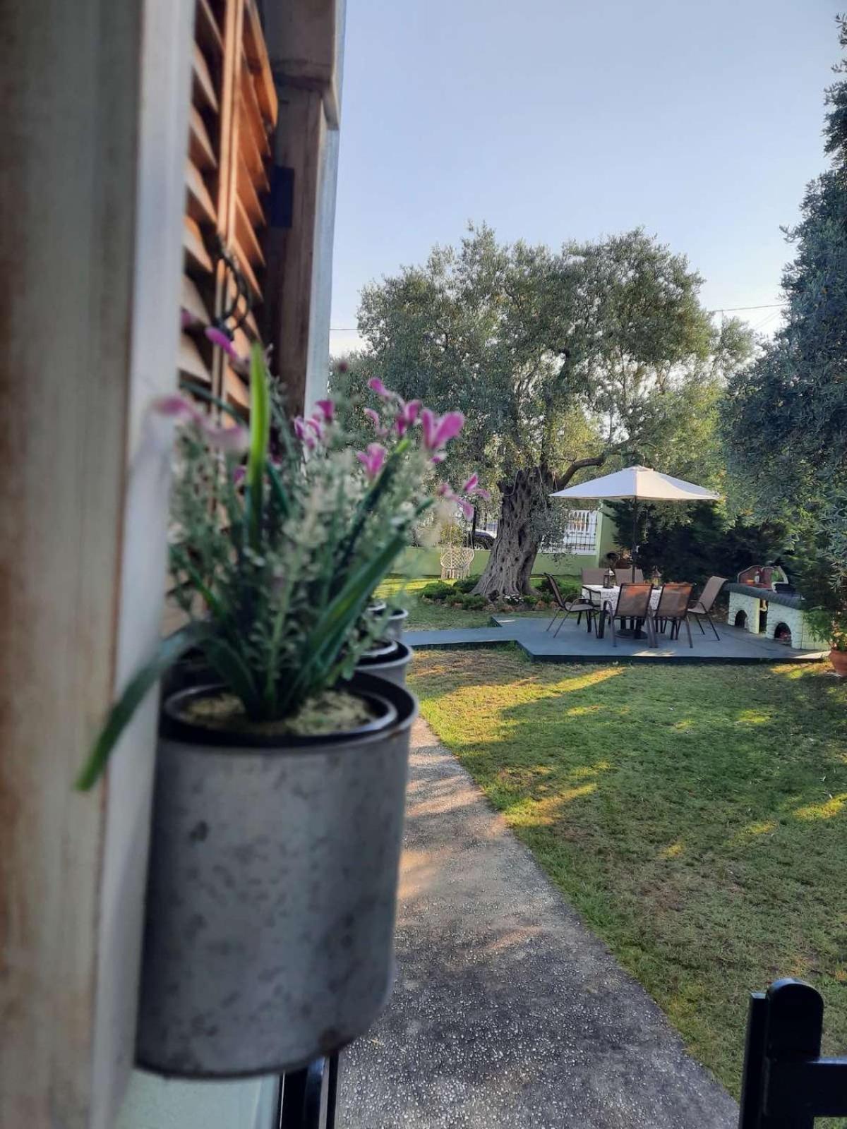 Villa Elia Σκάλα Σωτήρος Εξωτερικό φωτογραφία