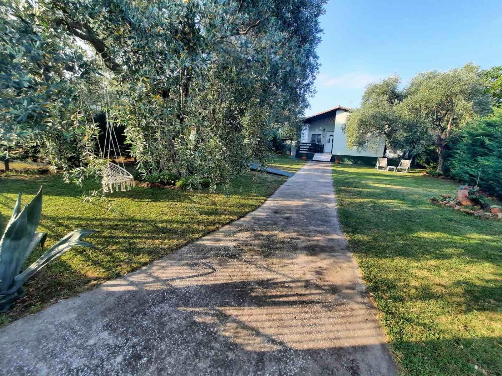 Villa Elia Σκάλα Σωτήρος Εξωτερικό φωτογραφία