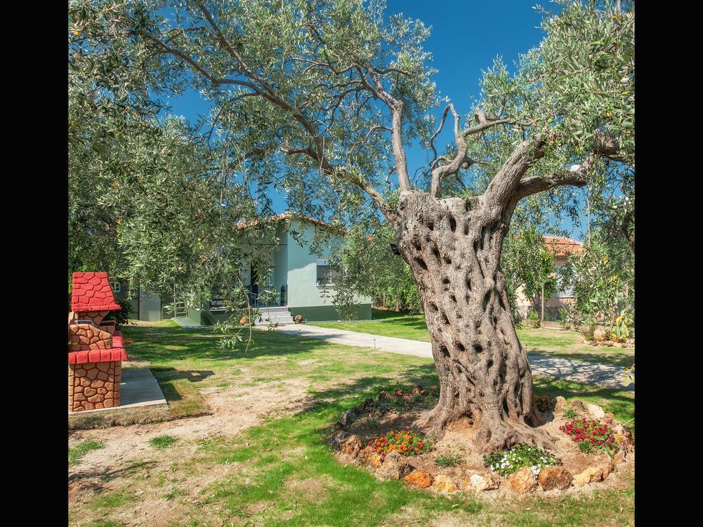 Villa Elia Σκάλα Σωτήρος Εξωτερικό φωτογραφία