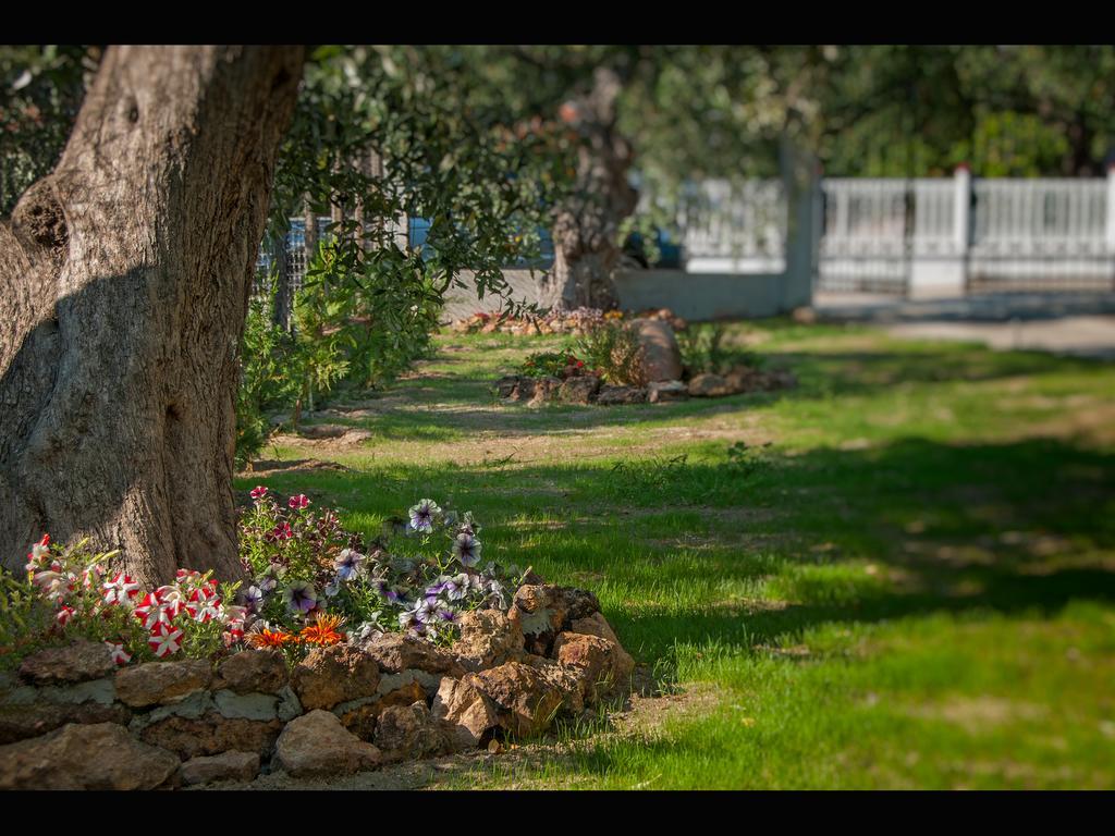 Villa Elia Σκάλα Σωτήρος Εξωτερικό φωτογραφία